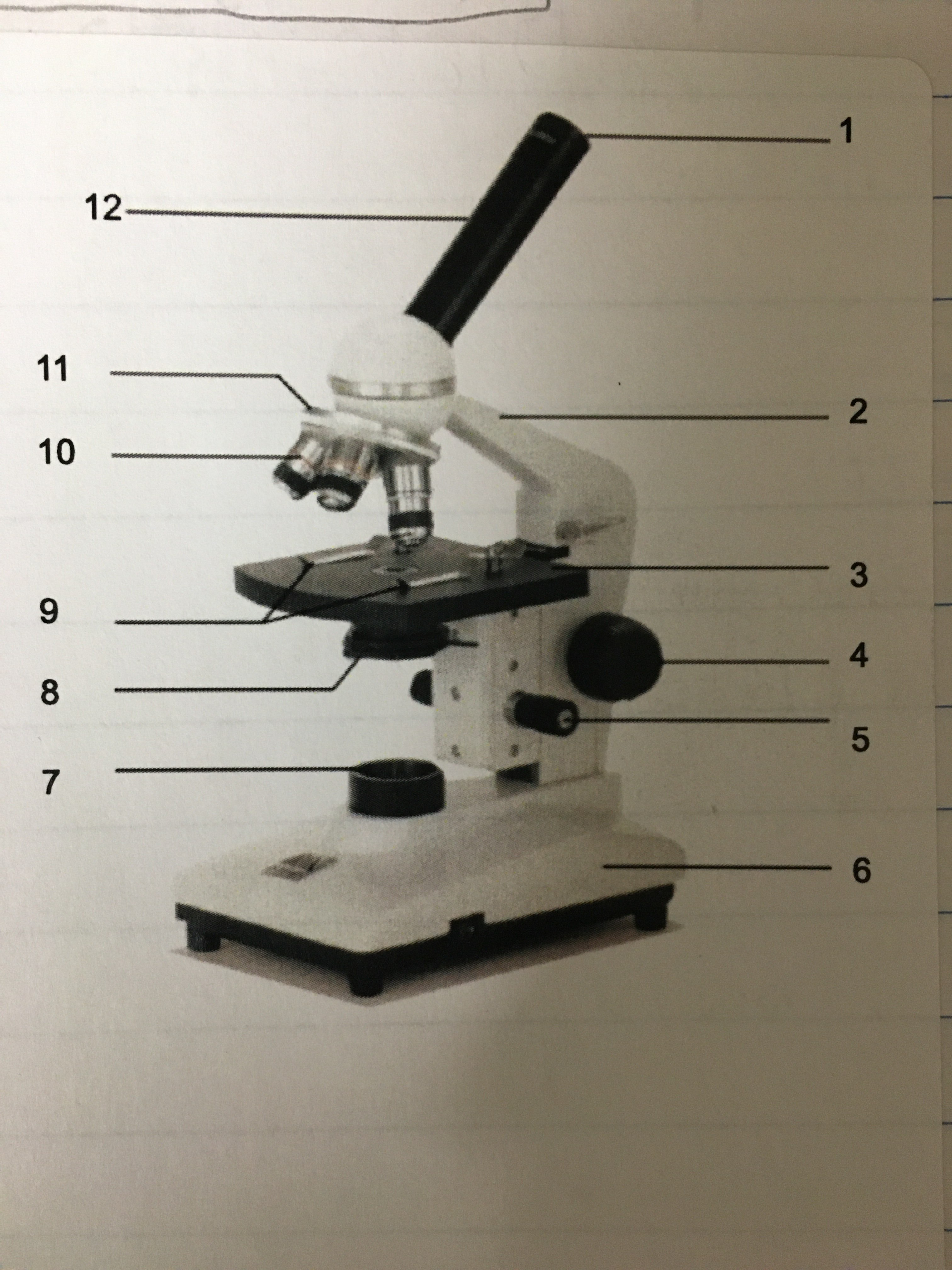 <p>Eyepiece Tube - Maintains the Distance </p>