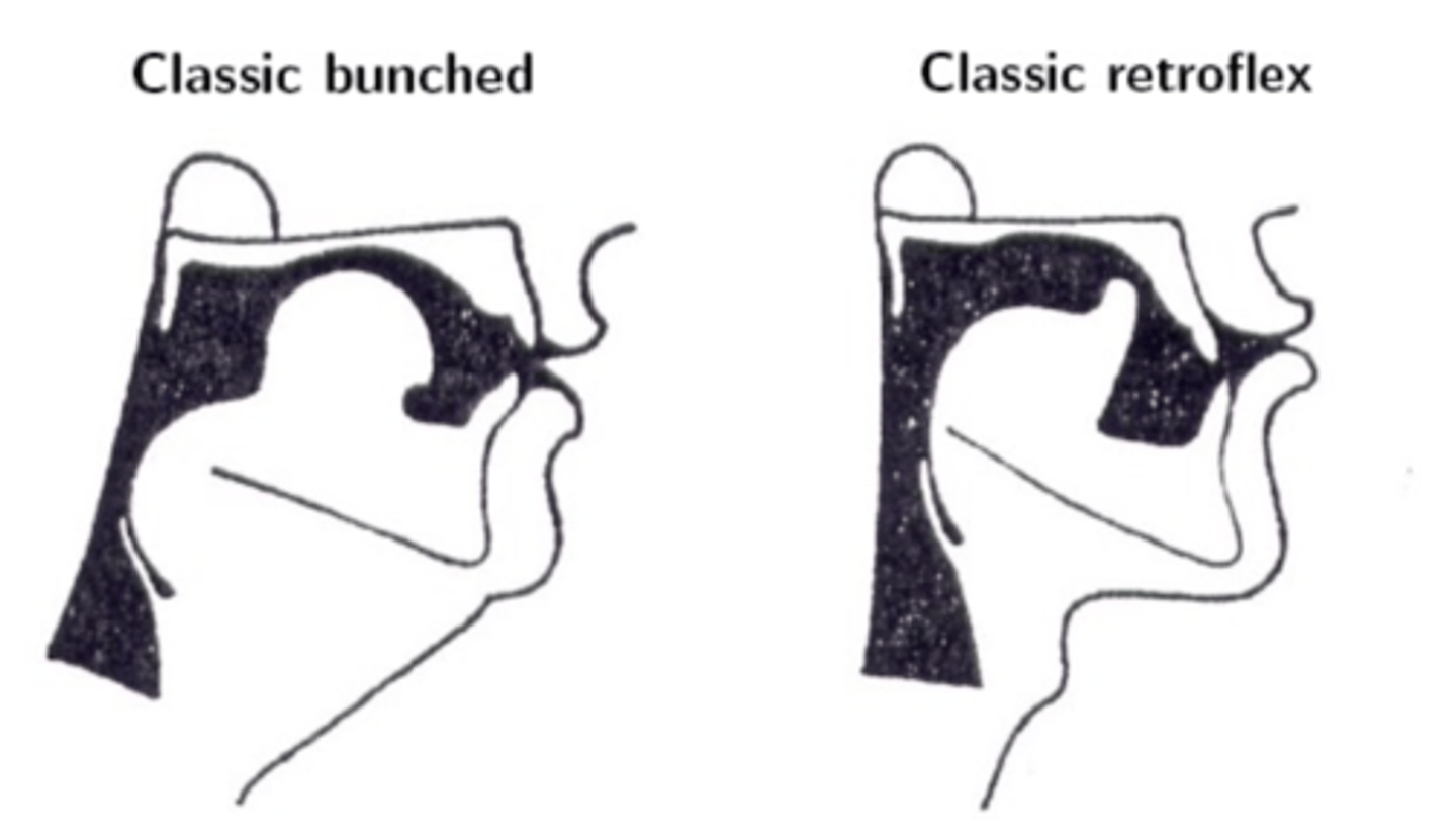 <p>tongue bunching and tongue curling (retroflex)</p>