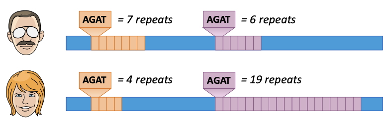 Comparison of DNA