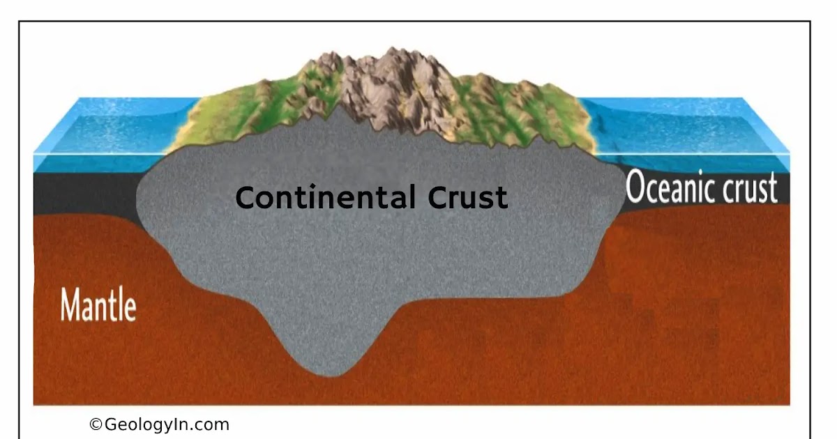 <p>How many kinds of crust are there? What do they do?</p>