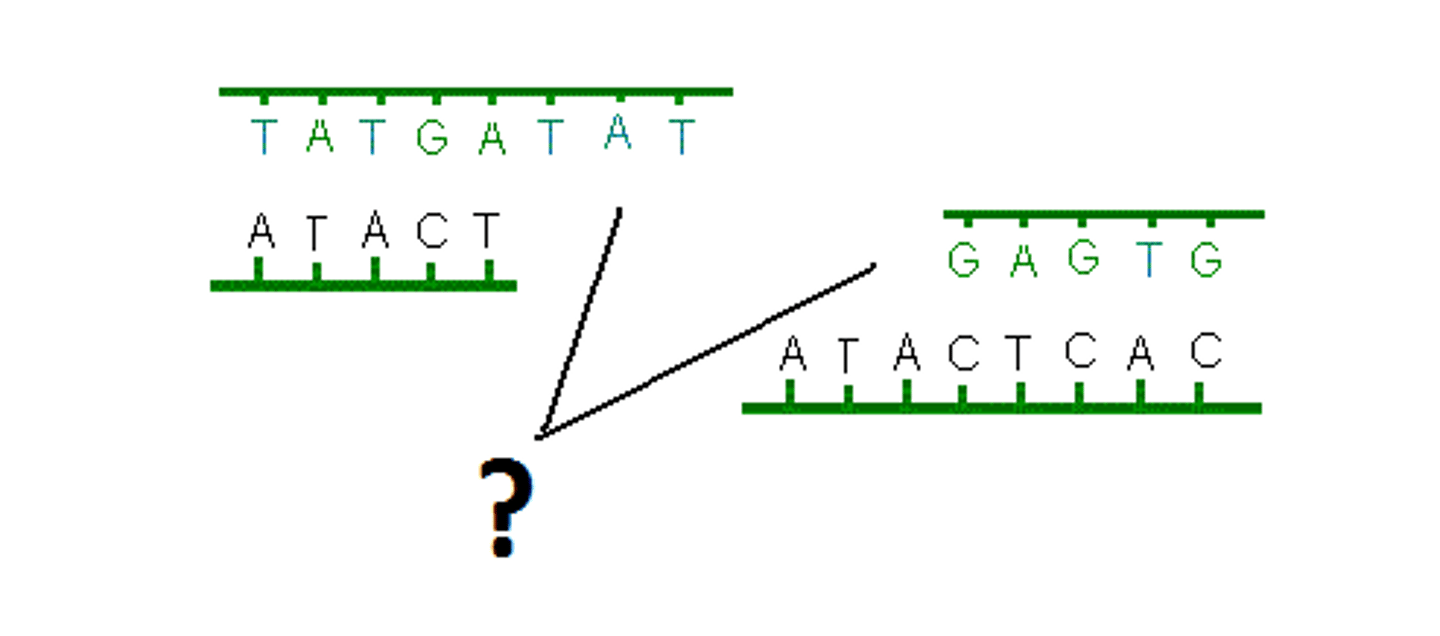 <p>Restriction endonucleases are used to cut the desired gene from DNA. This creates sticky ends, which makes it easier for the gene to be inserted elsewhere.</p>