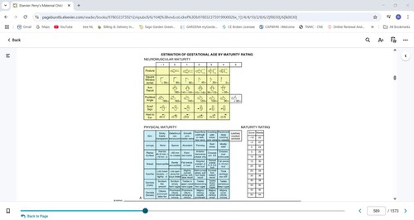 <p>The process of determining the age of the fetus or infant, often using the New Ballard scale.</p>