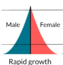 <p>Large proportion of young people and small proportion of older people, high birth, high death</p>