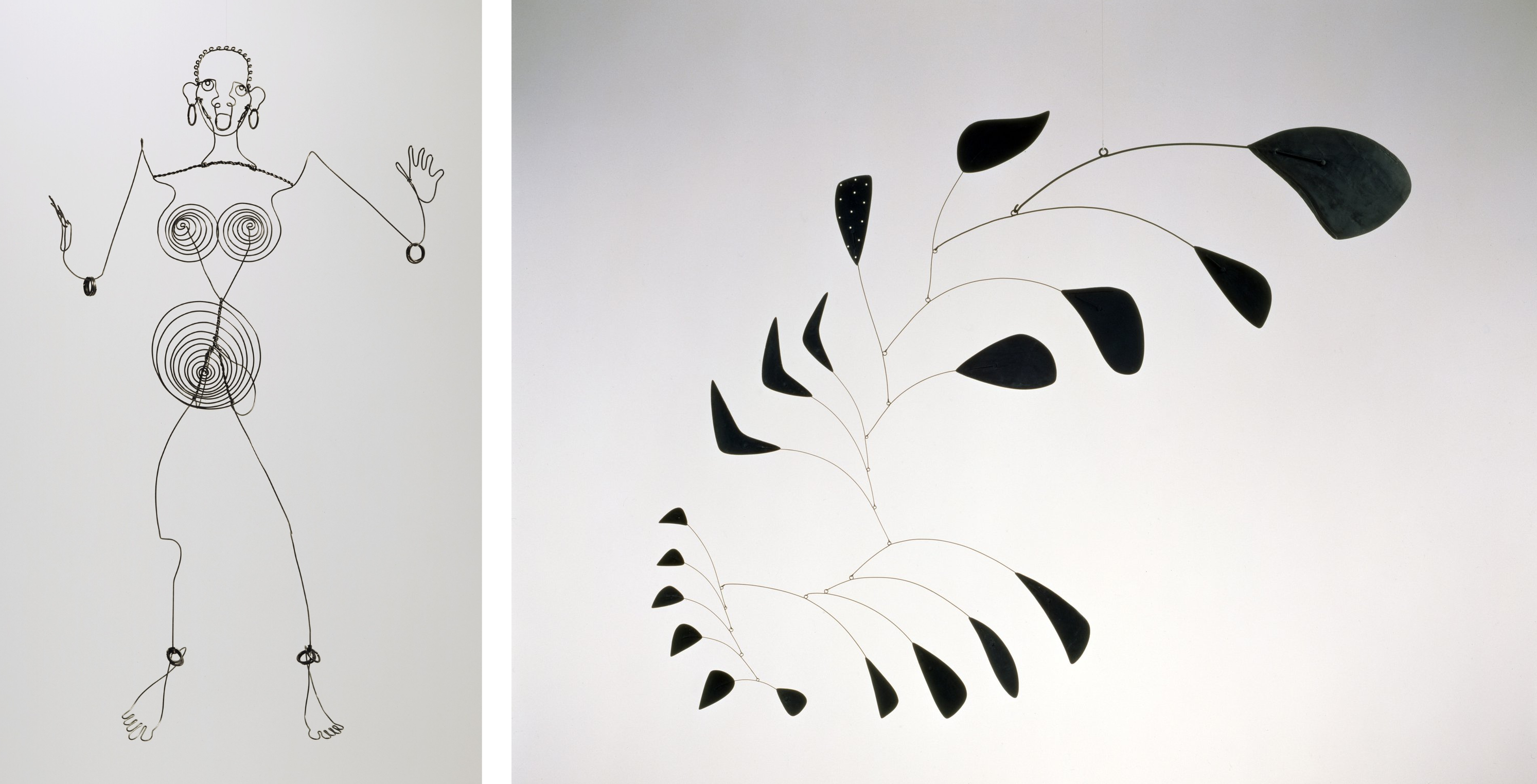 <ul><li><p><strong>stabile</strong> - <span>static wire figure sculpture</span></p></li><li><p><span><strong>mobile</strong> - kinetic abstract sculpture consisting of a carefully balanced design of metal plates, rods, and wires</span></p></li><li><p><span>josephine baker, gravity &amp; grace</span></p></li></ul><p></p>
