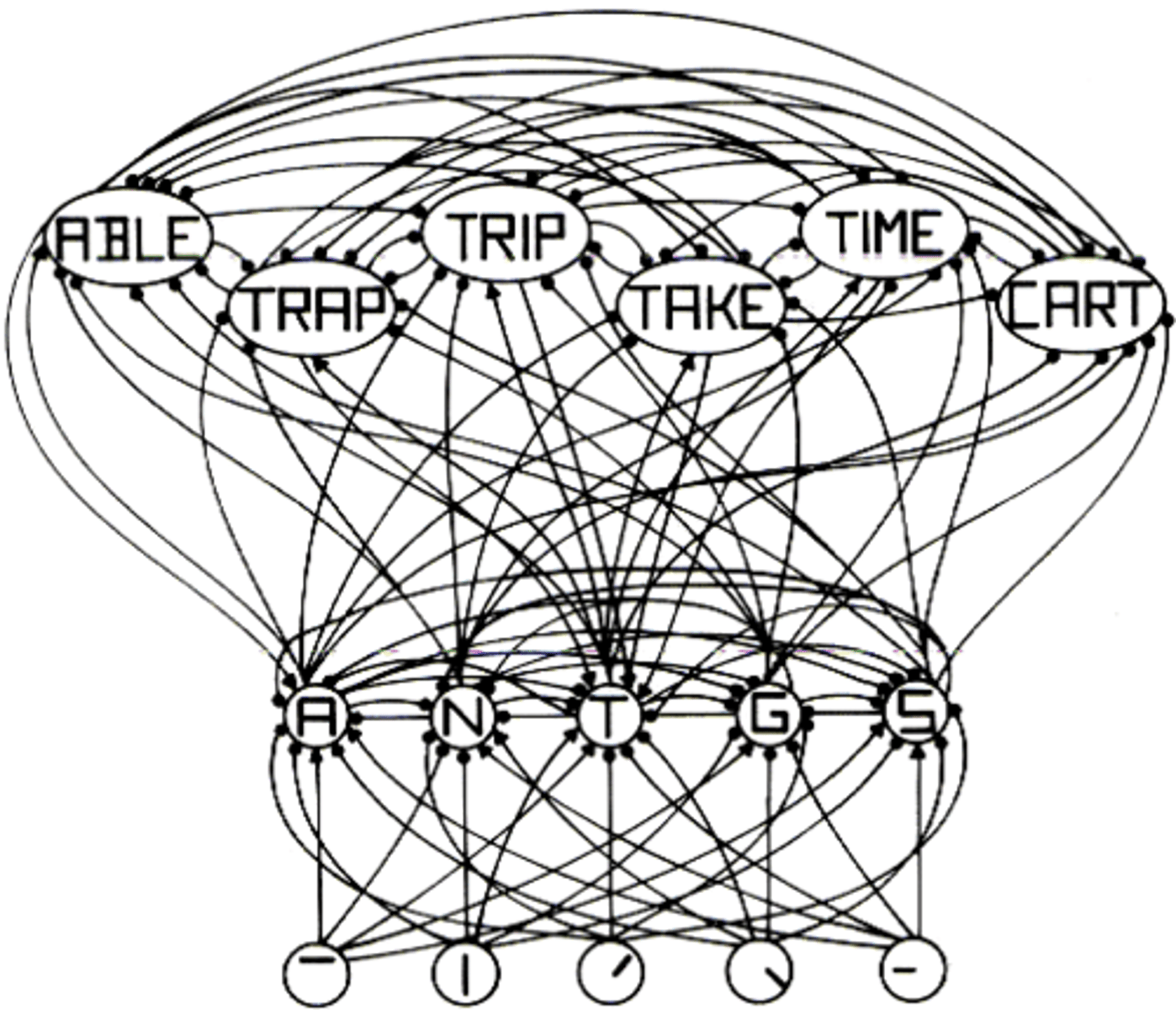 <p>Three stage model with distributed, interactive network architecture with units organized in layers with bidirectional activation.</p><p>Information follows in parallel, not serially through inhibitory/excitatory connections with interactive processing across levels.</p>