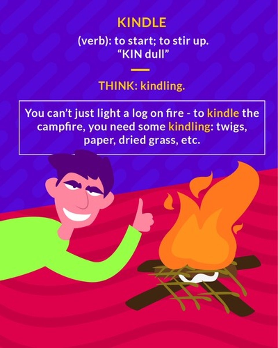 <p>to set fire to or ignite; excite or inspire</p><p>(verb) to start</p>