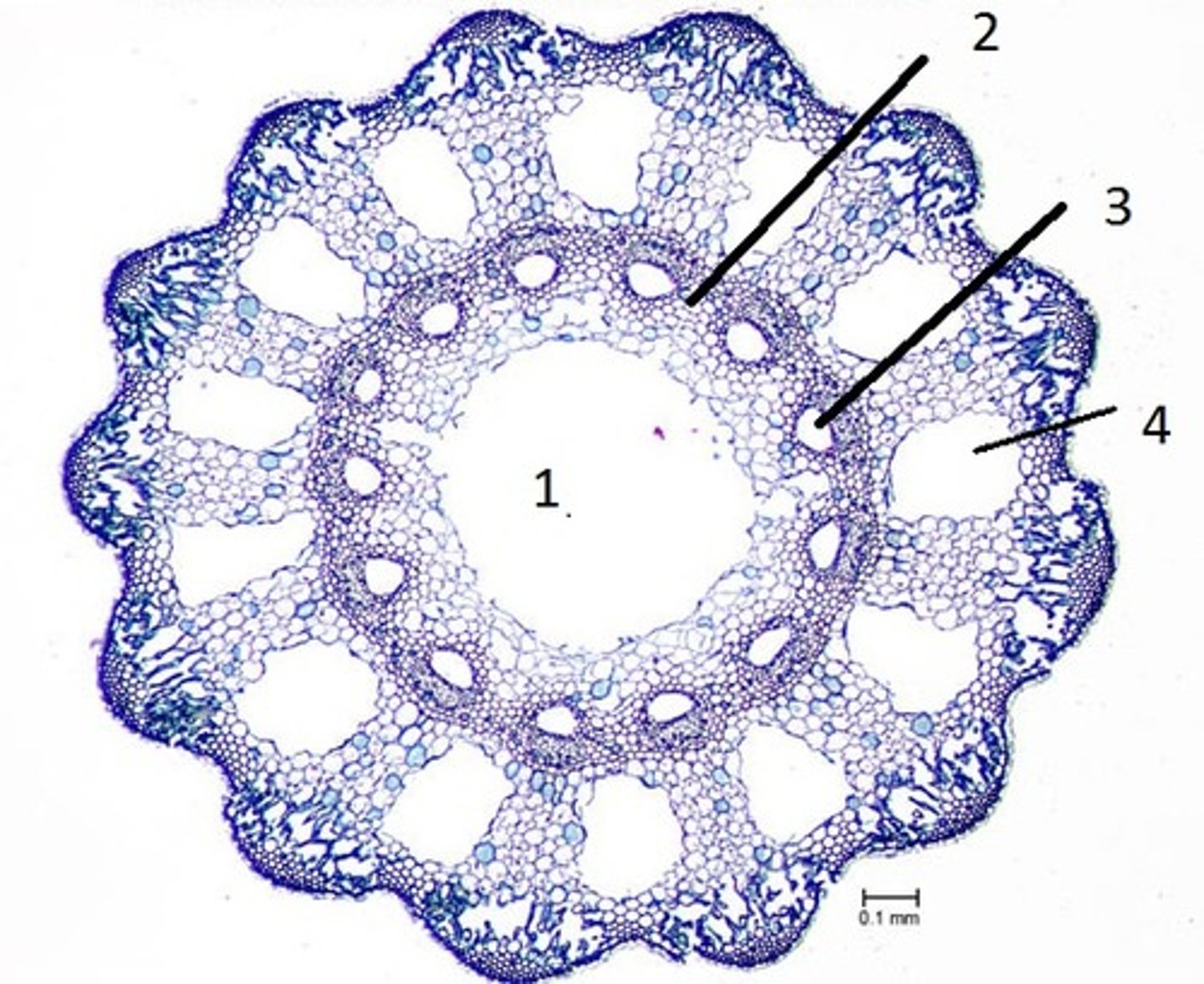 <p>What is structure number 4</p>