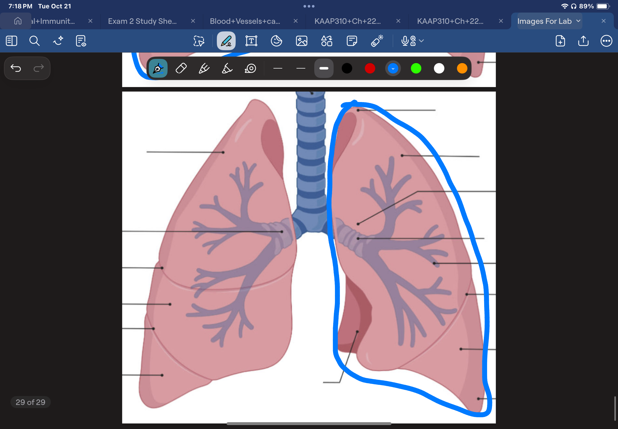 knowt flashcard image