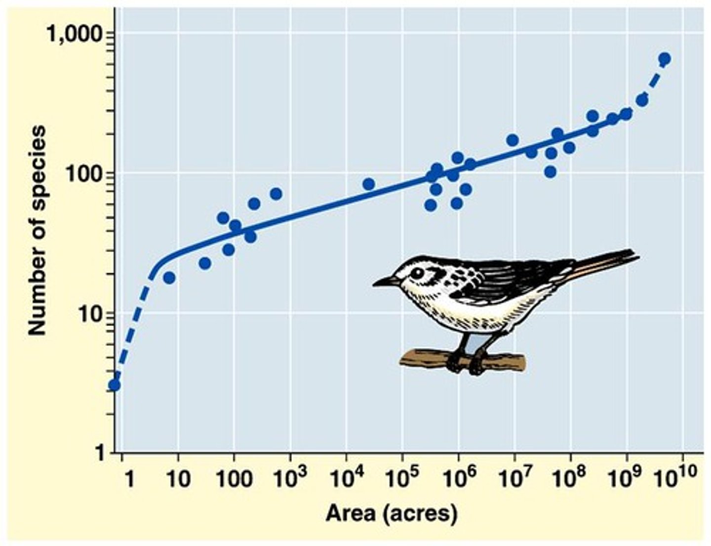 <p>A description of how the number of species on an island increases with the area of the island</p>