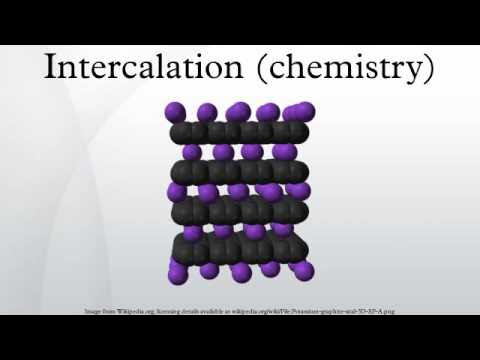 <p><span style="background-color: transparent;"><span>What is </span><strong><u><span>Intercalated?</span></u></strong></span></p>