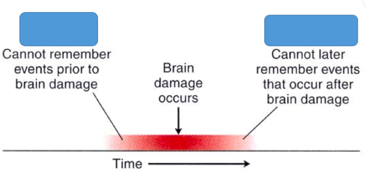 <p>a type of amnesia where you can't recall memories that were formed before the event that caused the amnesia. It usually affects recently stored past memories, not memories from years ago.</p><p><br></p>