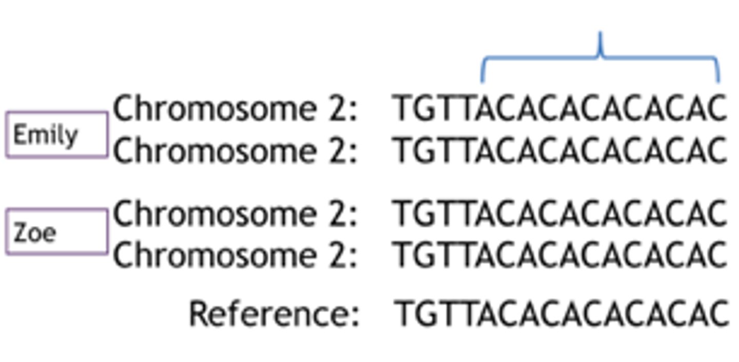 <p>No mismatch in the repeat; Identical nucleotides and length</p>