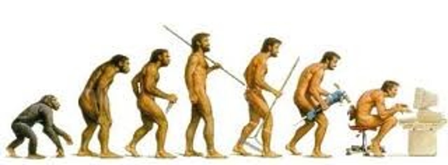 <p>How did people explain the inequalities in American society during the late 1800'S?</p>