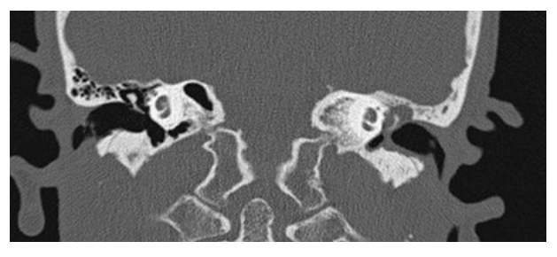 <p>What does the figure show?</p>