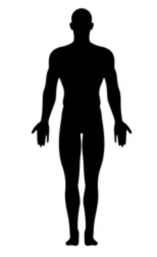 <p>upright stance w/ head and eyes facing foward + arms extended at the side + palms facing foward + feet are flat on the ground, pointing forward</p>