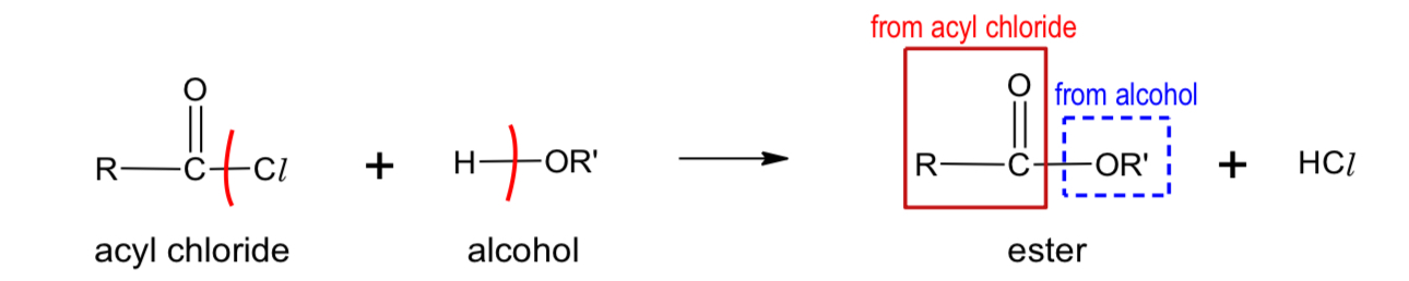 <p>What do alcohols form when reacting with acyl acid?</p>