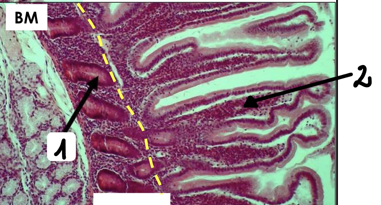 <p>2</p>