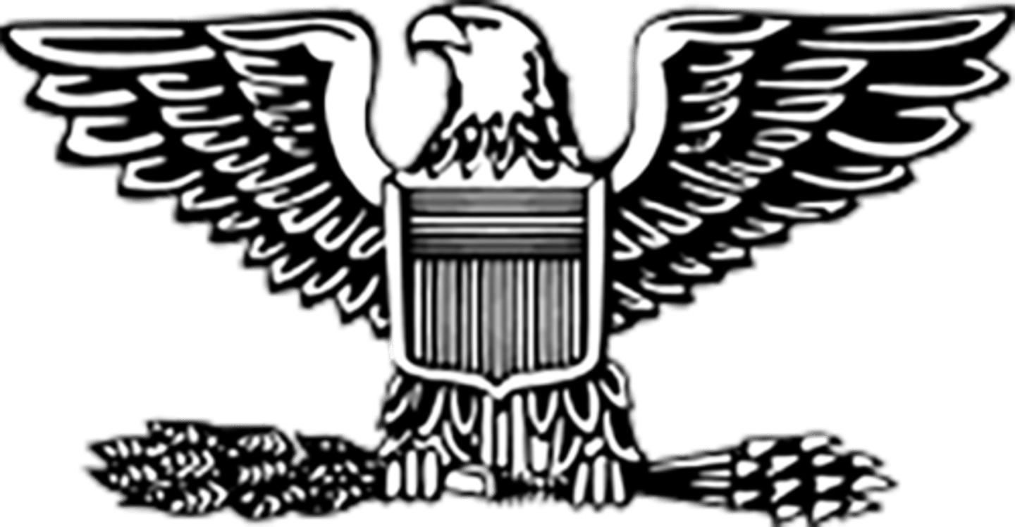 <p>Army/Marine Corps/Air Force/Space Force: O-6</p>