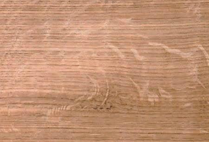 <p>what are these spots?</p>