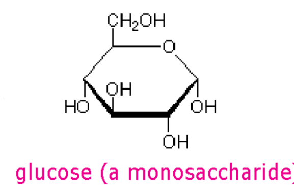 <p>simplest sugar molecules (ONE ring with C, O, H)</p>