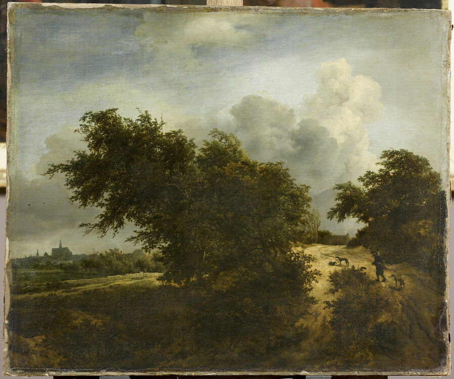 <p>paysage</p>
