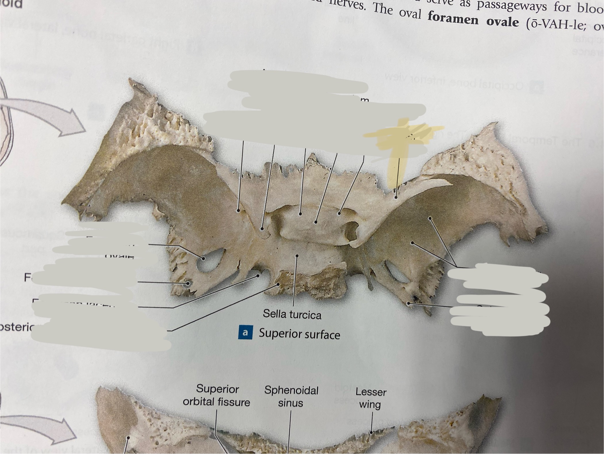 <p>What is the structure? </p>