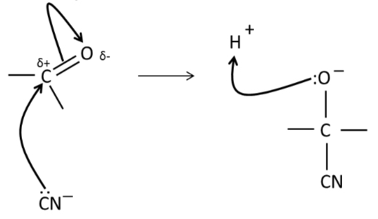 knowt flashcard image