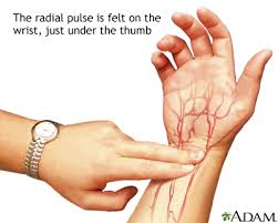 <p>take on thumb side </p>