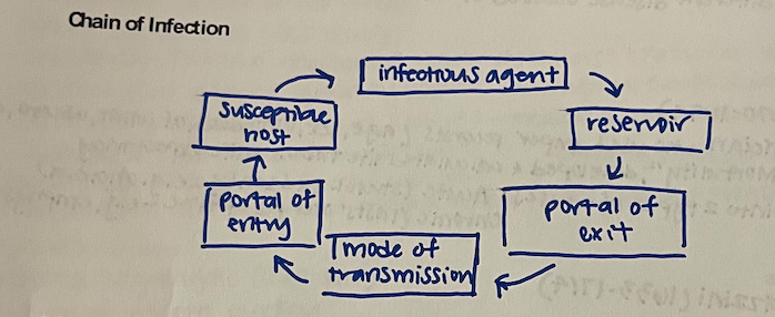 <p>→ infectious agent → reservoir → portal of exit → mode of transmission → portal of entry → susceptible host →</p>