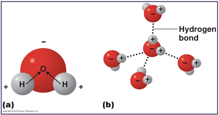<p>what is happening here?</p><div data-type="horizontalRule"><hr></div><p>what do the dotted lines represent?</p>