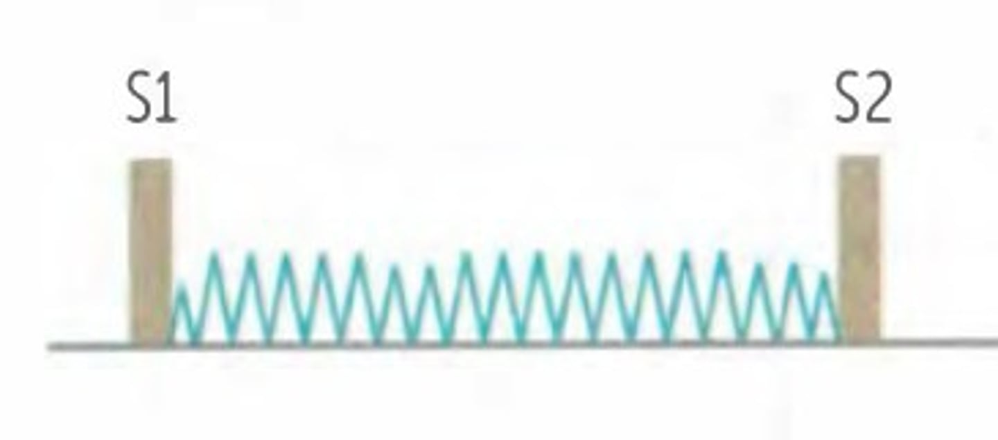 <p>SYSTOLIC</p><p>-Holosystolic, high pitched, "blowing"</p><p>-Loudest at apex</p><p>-Radiates to axilla</p><p>-Louder with squatting, hand grip (increased TPR) 👊</p>