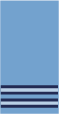 <p>What rank is this?</p>