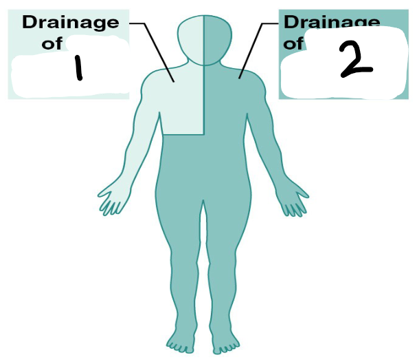 <p>1</p>