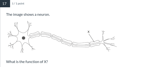 <p>AND what is the name of X?</p>