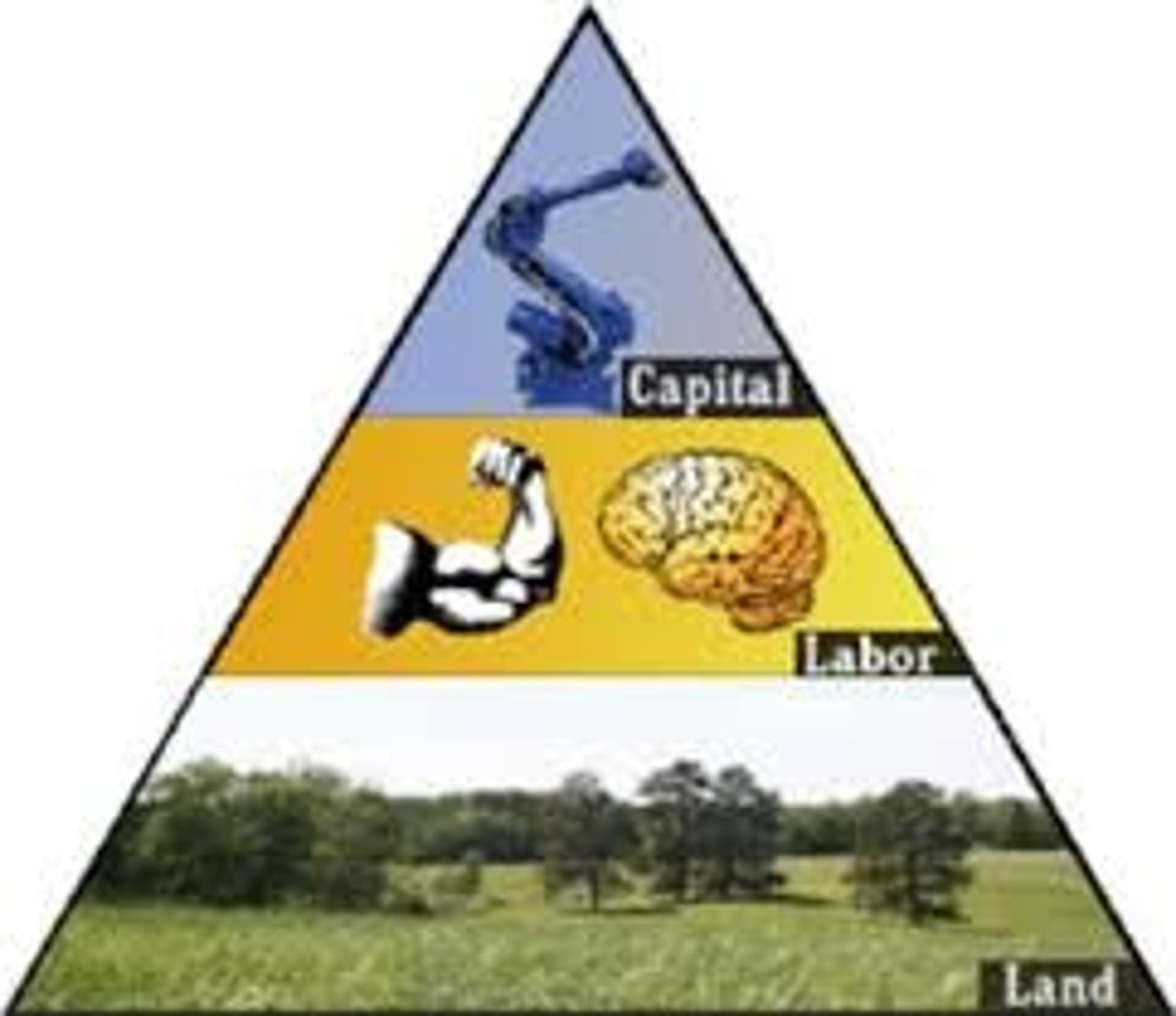 <p>resources that are used to make all goods and services, including: land, labor, capital, and entrepreneurship</p>