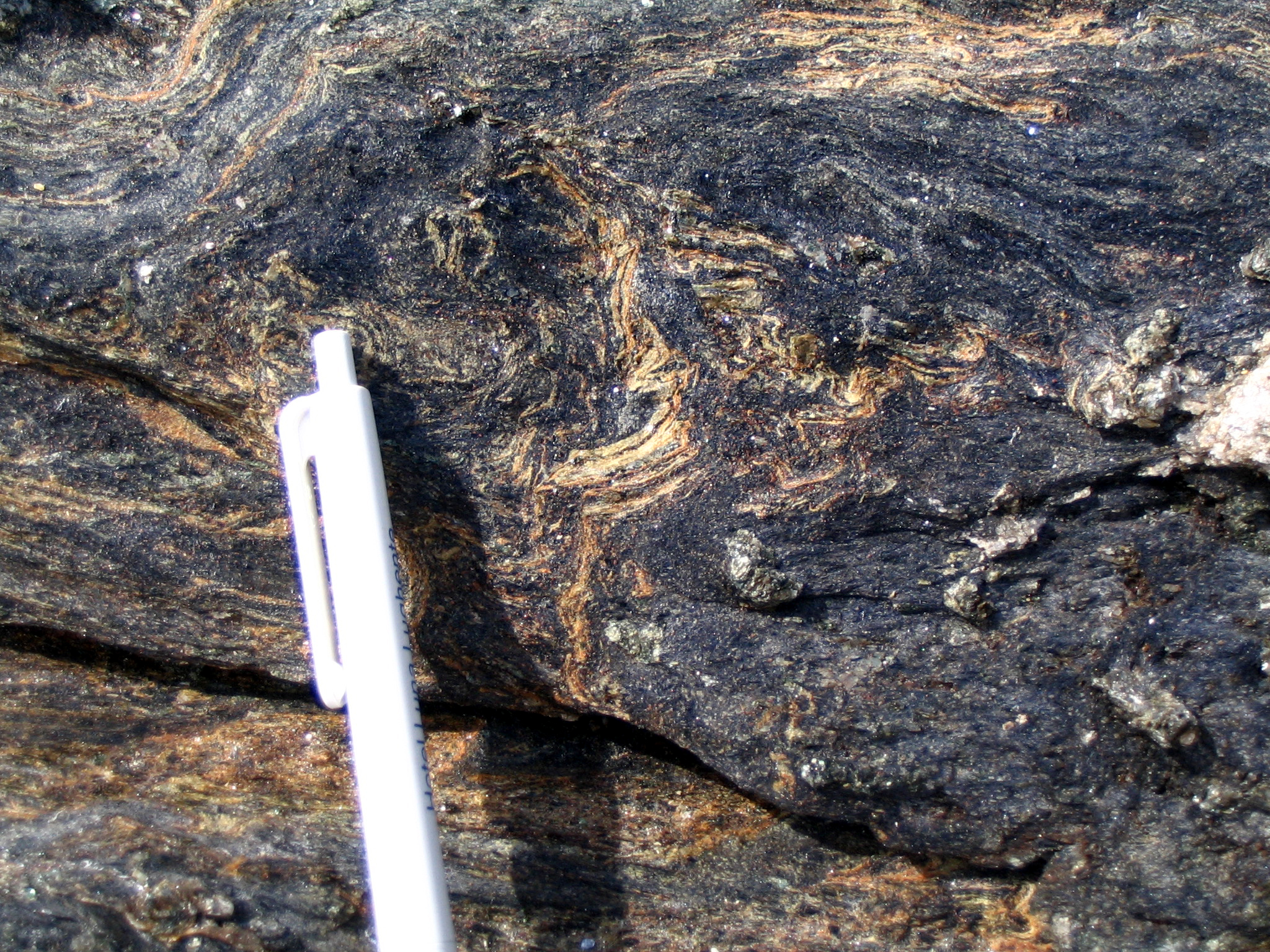 <p>Identify the metamorphic rock</p>