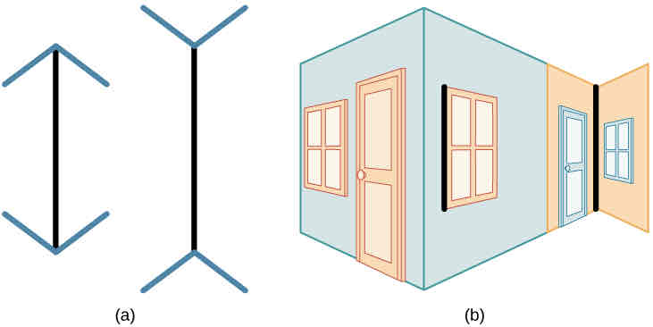 <p>examples of depth perception studies</p>