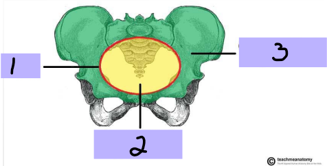 <p>#1</p>