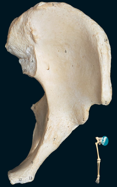 <p>3</p>