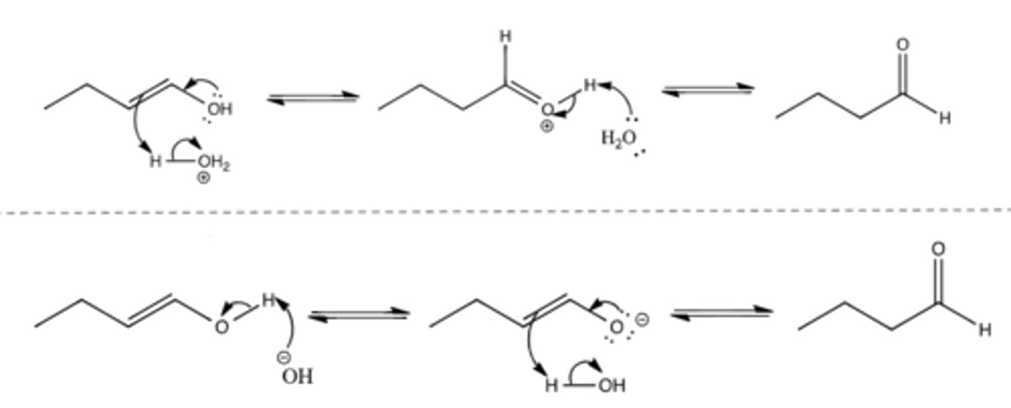 <p>Enol groups (alkene with OH attached) are unstable and tautomerize into keto/aldehyde groups</p><p>In acidic conditions:</p><p>- Arrow from O of OH to C-OH bond, arrow from alkene to H of H-OH2^+, arrow from H-OH2^+ bond to O of OH2</p><p>- Arrow from O of H2O to H of C=O-H, arrow from attached O-H bond to =O</p><p>In basic conditions:</p><p>- Arrow from O of lone OH^- to H of attached OH, arrow from attached O-H bond to O of attached OH</p><p>- Arrow from O^- to =C-O bond, arrow from alkene to H of H-OH, arrow from H-OH bond to O of H-OH</p><p>Can go forwards or reverse (draw double sided arrow)</p><p>*KNOW MECHANISM*</p>