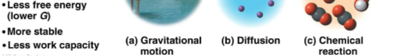 <p>Stable systems</p>