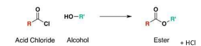 <ul><li><p>forms an ester (and HCl)</p></li><li><p>Same reaction as with a carboxylic acid (acyl chloride used in place of acid) </p></li><li><p>However - acyl chlorides are more reactive than carboxylic acids, therefore acid catalyst is not needed in order to progress the reaction </p></li></ul>