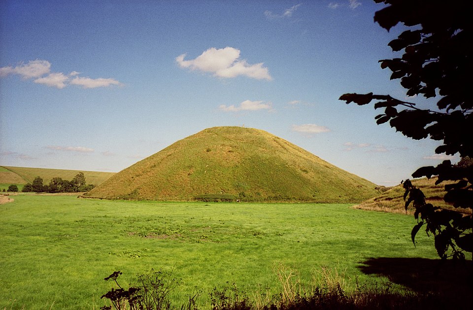 term image