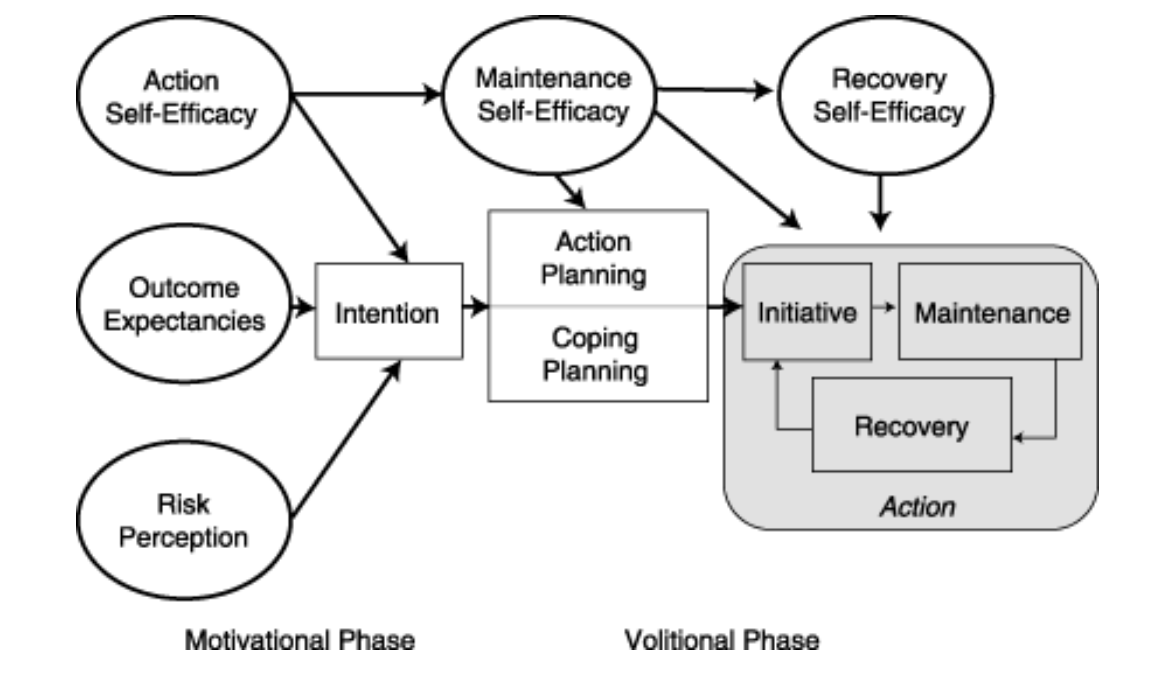 <ul><li><p>a process oriented, social-cognitive model that explains how people adopt, initiate, and maintain health behaviours through a process divided into a motivational phase (forming intentions) and a volitional phase (acting on intentions)</p></li></ul><p></p><p>Motivational Phase:</p><ul><li><p>risk perception - understanding the risks of current behaviours</p></li><li><p>outcome expectancies - believing that the new behaviour will have positive outcomes</p></li><li><p>action self efficacy - confidence in one’s ability to perform the new health behaviour</p></li><li><p>intention - a decision to engage in the new health behaviour</p></li></ul><p></p><p>Volitional Phase:</p><ul><li><p>planning - developing concrete plans, including action and coping plans</p></li><li><p>action control - self regulatory efforts to execute the plans and overcome obstacles</p></li><li><p>maintenance self-efficacy - continued confidence in one’s ability to maintain the behaviour over time</p></li><li><p>recovery self-efficacy - confidence in one’s ability to resume the healthy behaviour after a lapse</p></li></ul><p></p>