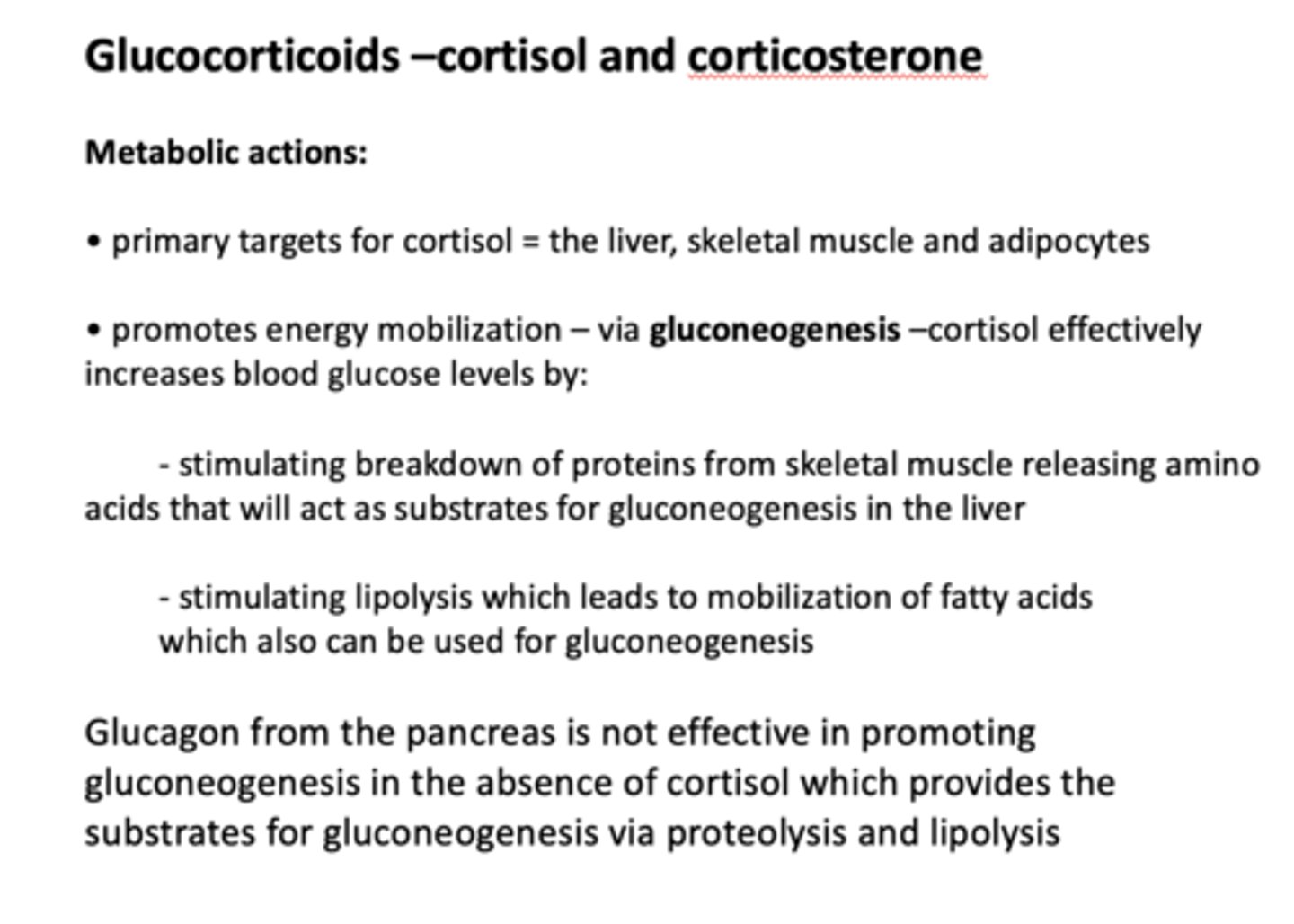 <p>- Stimulating breakdown of proteins</p><p>- Stimulating lipolysis</p>