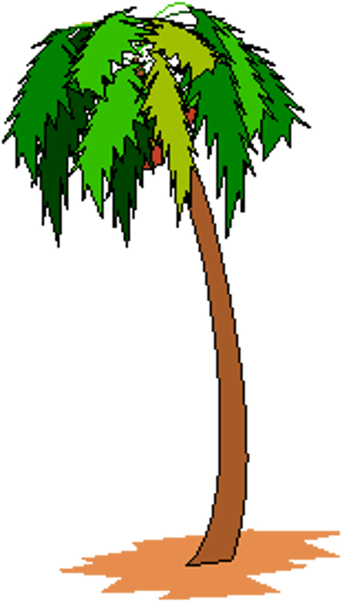<p>palm tree</p>