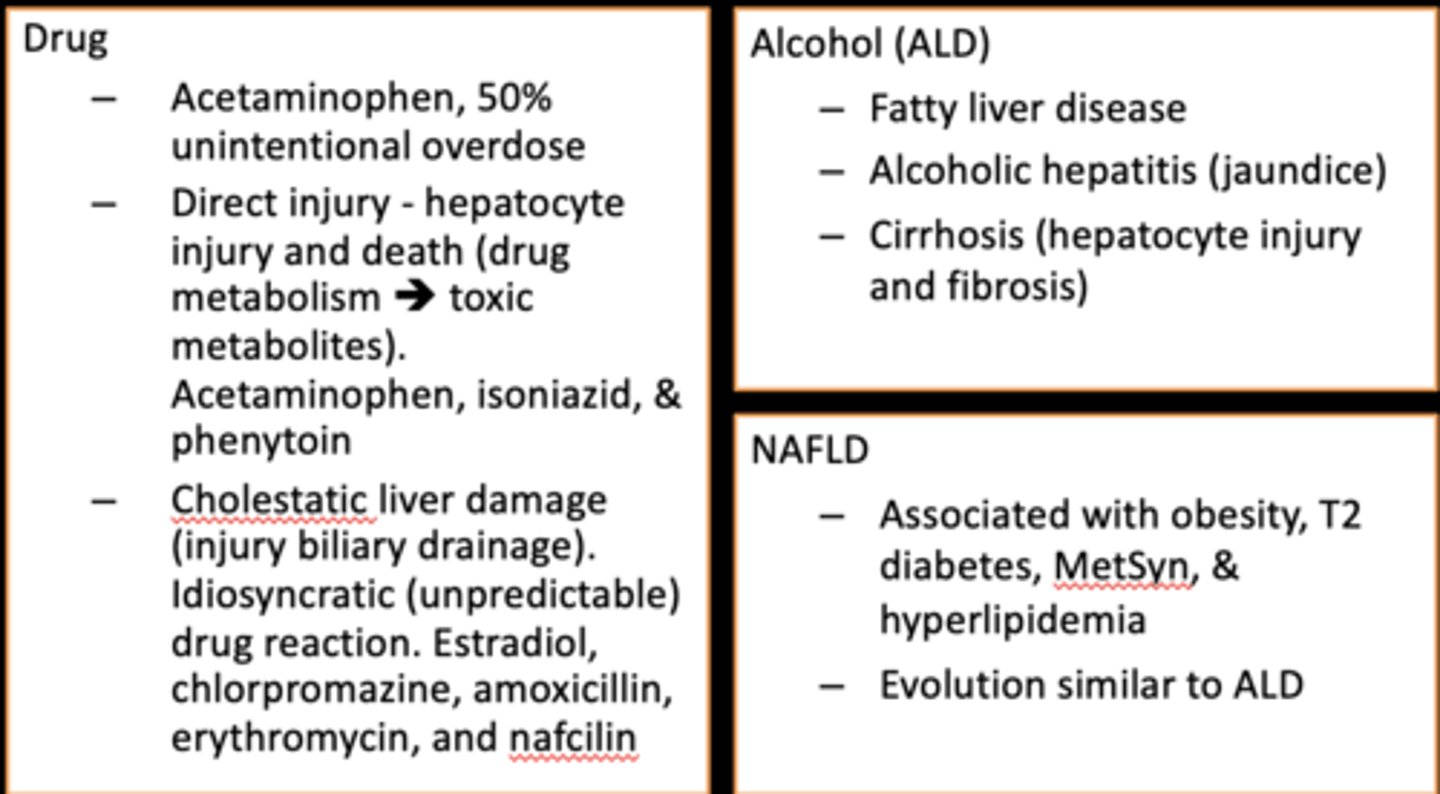 <p>the leading cause of acute liver failure in the US</p>