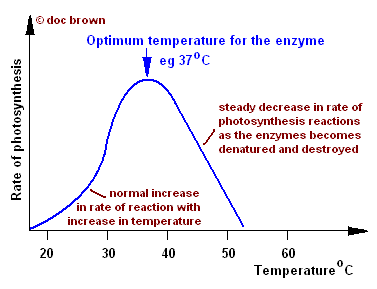 <p>As temperature increases, faster-moving particles collide with more enzyme active sites. This increases the rate of photosynthesis. </p><p>The rate of photosynthesis reaches a max when other factors limit it. </p><p>At high temperatures, the rate of photosynthesis decreases because enzymes denature.</p>