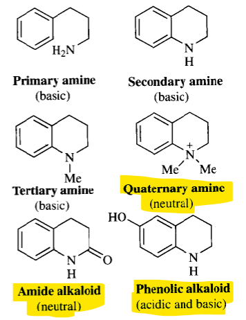 <ol><li><p>MOST alkaloids are present forming _________ → usually ______________</p></li><li><p>Salts are <em>(less/more)</em> stable than free alkaloids </p></li><li><p><em>Basic or non basic</em> alkaloids will be readily absorbed in stomach?</p></li><li><p>IV administered alkaloids are usually administered as ______</p></li></ol><p></p>