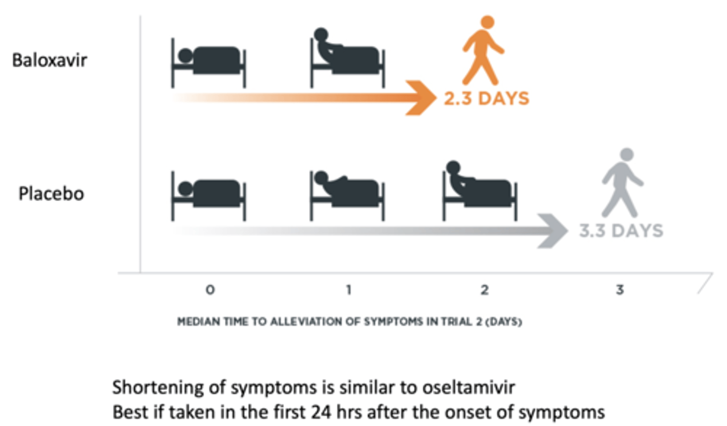 <p>Well tolerated, none more common than placebo in clinical trials.</p><p>*Less side effects than oseltamivir.</p><p>Polymerase Acid Endonuclease Inhibitor </p>
